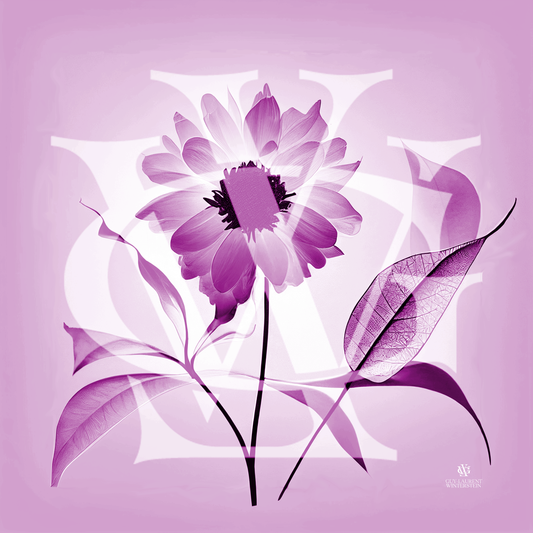 X-Ray Flower